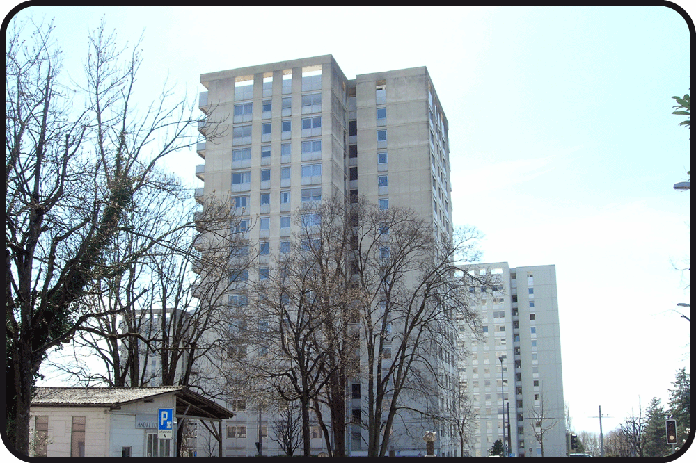 Montoie tours