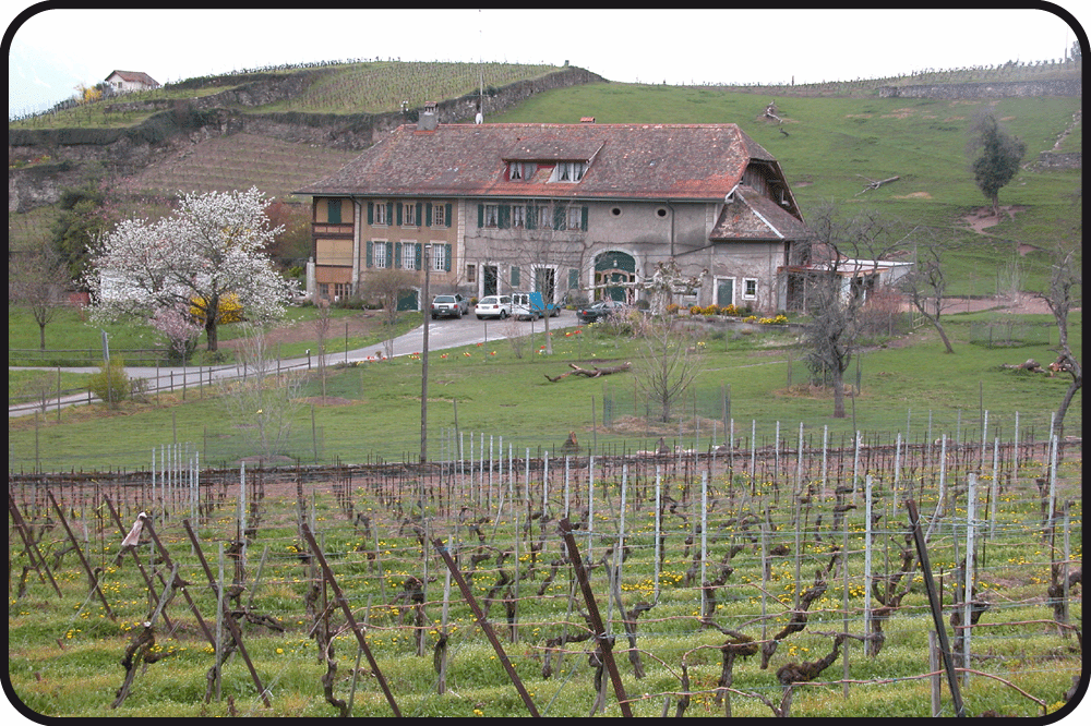 Ferme à Vevey