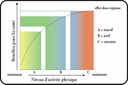 Niveau d'activité physique - graphique