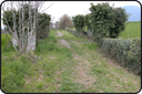 Vevey: Chemin champêtre