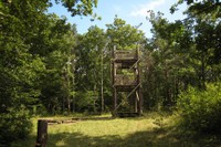 La forêt est le lieux de nombreux loisirs