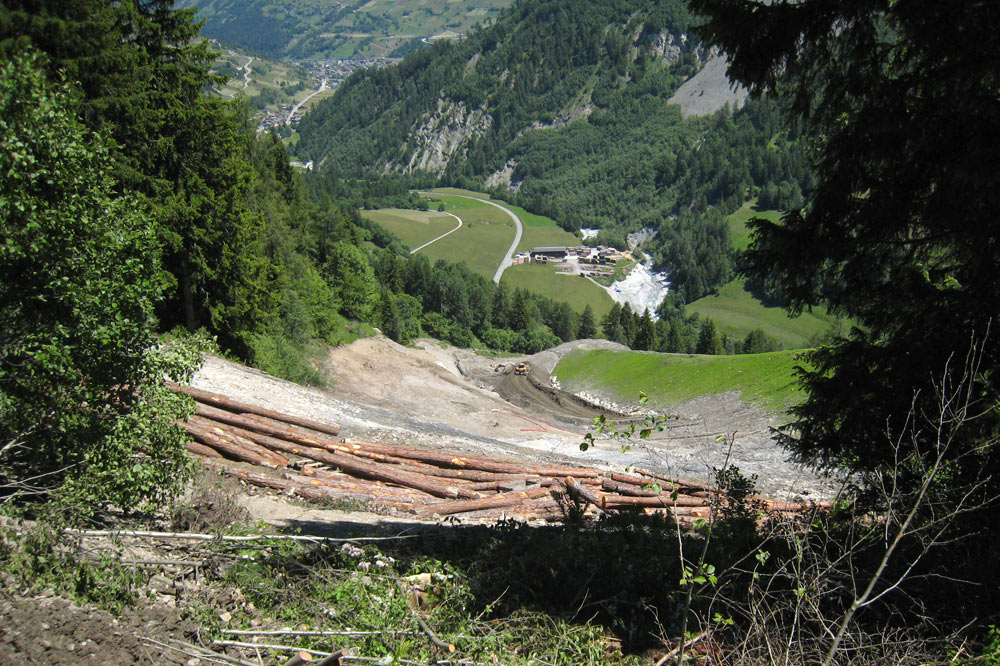 Coupe de bois