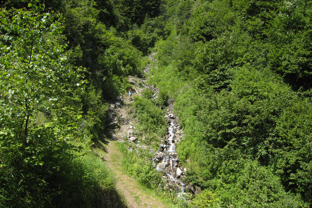 Torrent dans le Val Ferret