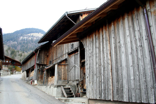 Ramure dans un chalet de la Frasse